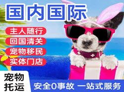 徐州航空邮寄国际宠物托运 【国